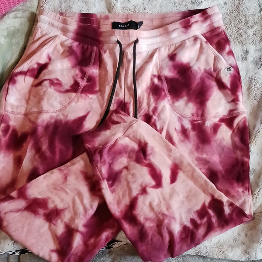 Torrid sweatpants